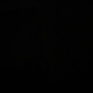 Meet your Posher, Trapp